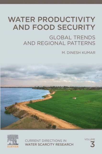 M. Dinesh Kumar - Water Productivity and Food Security, E-bok