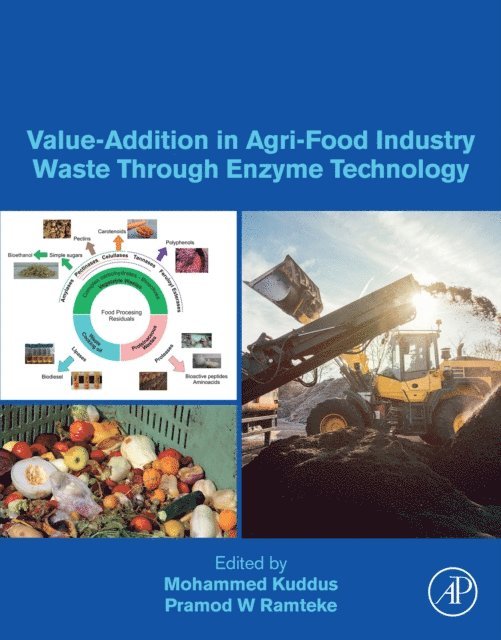 Pramod W. Ramteke, Mohammed Kuddus - Value-Addition in Agri-Food Industry Waste Through Enzyme Technology, E-bok