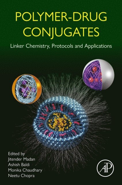 Neetu Chopra, Monika Chaudhary, Ashish Baldi, Jitender Madan - Polymer-Drug Conjugates, E-bok