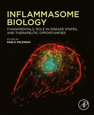 Pablo Pelegrin - Inflammasome Biology, Häftad