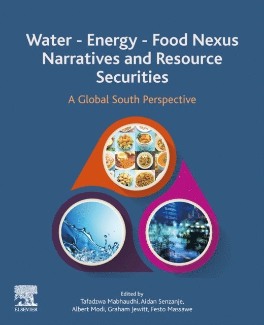 Festo Massawe, Graham Jewitt, Albert T. Modi, Aidan Senzanje, Tafadzwa Mabhaudhi - Water - Energy - Food Nexus Narratives and Resource Securities, E-bok