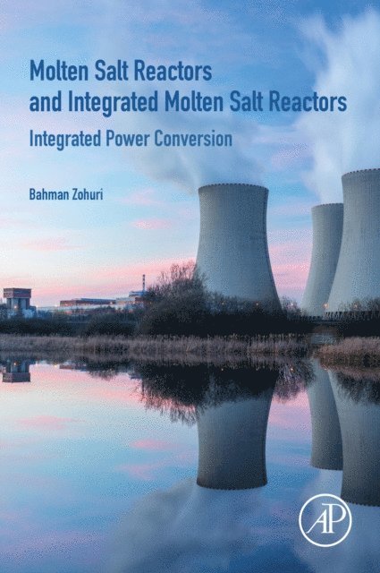 Bahman Zohuri - Molten Salt Reactors and Integrated Molten Salt Reactors, E-bok