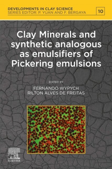 Rilton Alves de Freitas, Fernando Wypych - Clay Minerals and Synthetic Analogous as Emulsifiers of Pickering Emulsions, E-bok