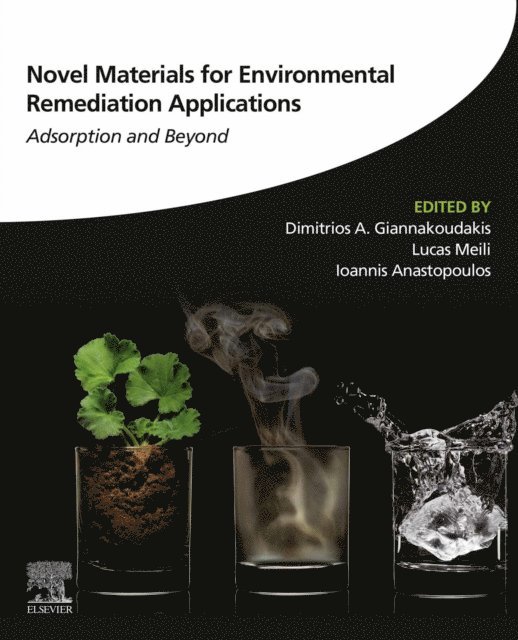 Ioannis Anastopoulos, Lucas Meili, Dimitrios A Giannakoudakis - Novel Materials for Environmental Remediation Applications, E-bok