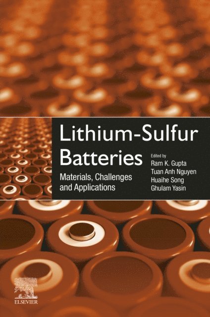Ghulam Yasin, Huaihe Song, Tuan Anh Nguyen, Ram K. Gupta - Lithium-Sulfur Batteries, E-bok