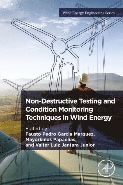 Valter Luiz Jantara Junior, Mayorkinos Papaelias, Fausto Pedro Garcia Marquez - Non-Destructive Testing and Condition Monitoring Techniques in Wind Energy, E-bok