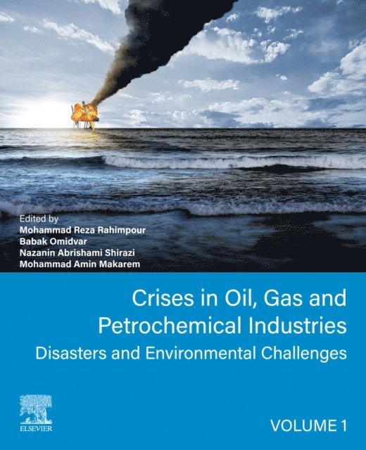 Mohammad Amin Makarem, Nazanin Abrishami Shirazi, Babak Omidvar, Mohammad Reza Rahimpour - Crises in Oil, Gas and Petrochemical Industries, E-bok