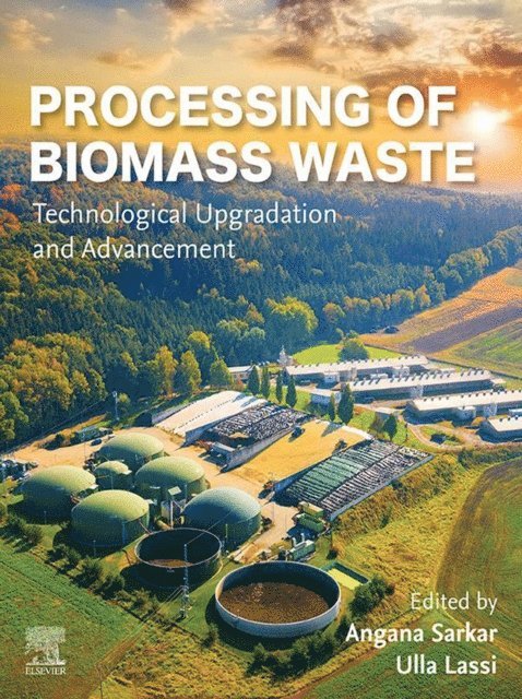 Ulla Lassi, Angana Sarkar - Processing of Biomass Waste, E-bok