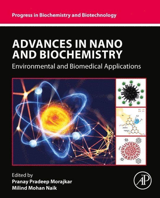 Milind Mohan Naik, Pranay Pradeep Morajkar - Advances in Nano and Biochemistry, E-bok