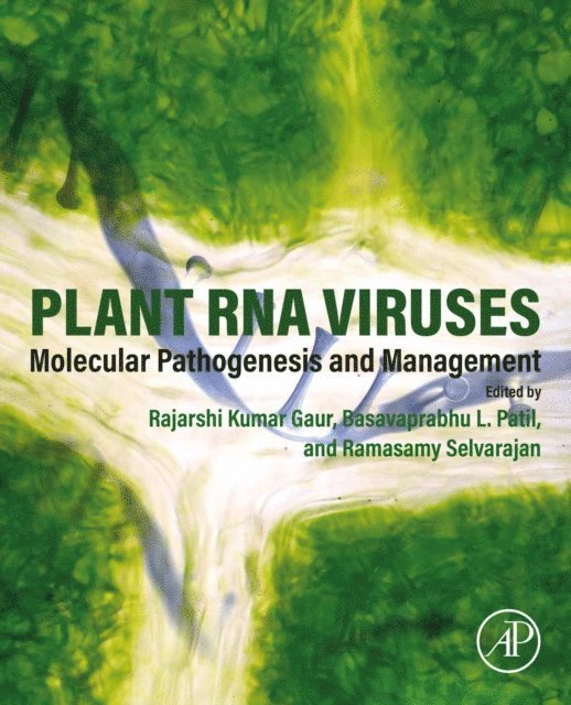 Ramasamy Selvarajan, Basavaprabhu L. Patil, Rajarshi Kumar Gaur - Plant RNA Viruses, E-bok