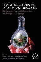 Fr�d�ric Bertrand, Andrea Bachrata, Nathalie Seiler, Christophe Journeau - Severe Accidents in Sodium Fast Reactors, Häftad