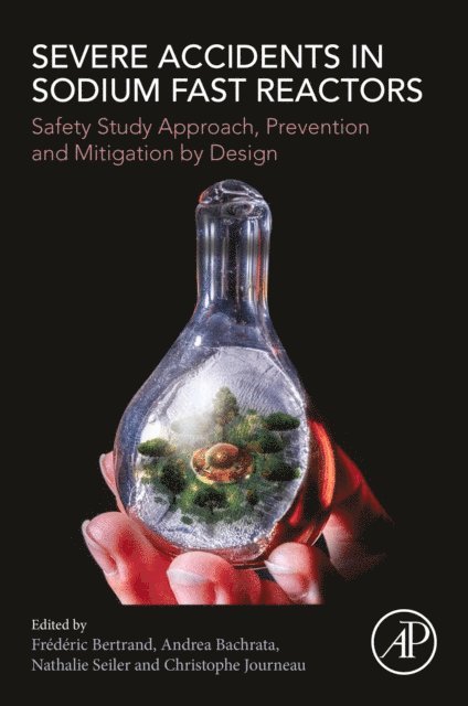 Christophe Journeau, Nathalie Seiler, Andrea Bachrata, Frederic Bertrand - Severe Accidents in Sodium Fast Reactors, E-bok
