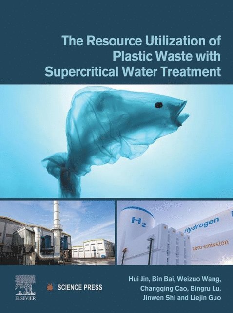 Liejin Guo, Jinwen Shi, Bingru Lu, Changqing Cao, Weizuo Wang, Bin Bai, Hui Jin - Resource Utilization of Plastic Waste with Supercritical Water Treatment, E-bok