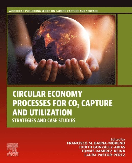 Laura Pastor-Perez, Tomas Ramirez-Reina, Judith Gonzalez-Arias, Francisco M. Baena-Moreno - Circular Economy Processes for CO2 Capture and Utilization, E-bok