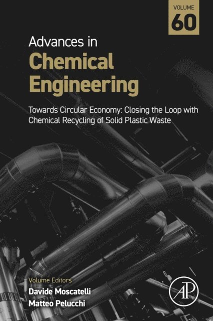 Towards Circular Economy: Closing the Loop with Chemical Recycling of Solid Plastic Waste, E-bok