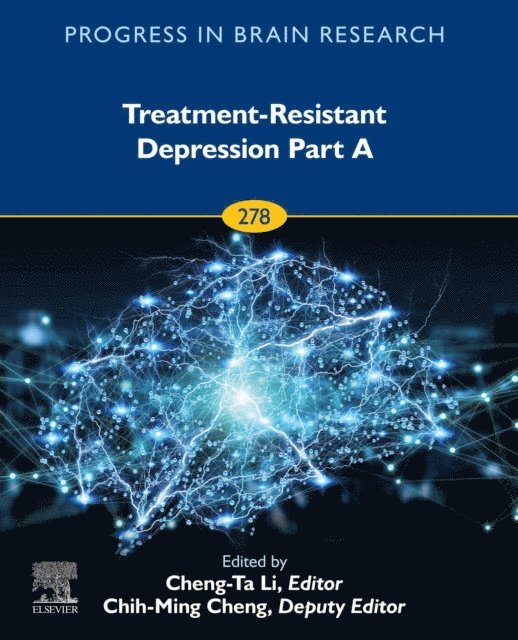 Treatment-Resistant Depression, E-bok