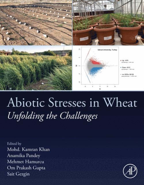 Sait Gezgin, Om Prakash Gupta, Mehmet Hamurcu, Anamika Pandey, Mohd. Kamran Khan - Abiotic Stresses in Wheat, E-bok