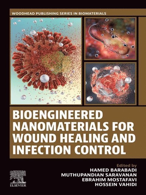 Hossein Vahidi, Ebrahim Mostafavi, Muthupandian Saravanan, Hamed Barabadi - Bioengineered Nanomaterials for Wound Healing and Infection Control, E-bok