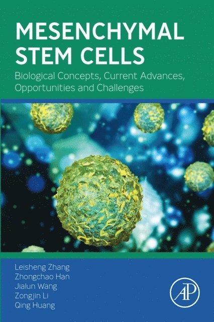 Qing Huang, Zongjin Li, Jialun Wang, Zhongchao Han, Leisheng Zhang - Mesenchymal Stem Cells, E-bok