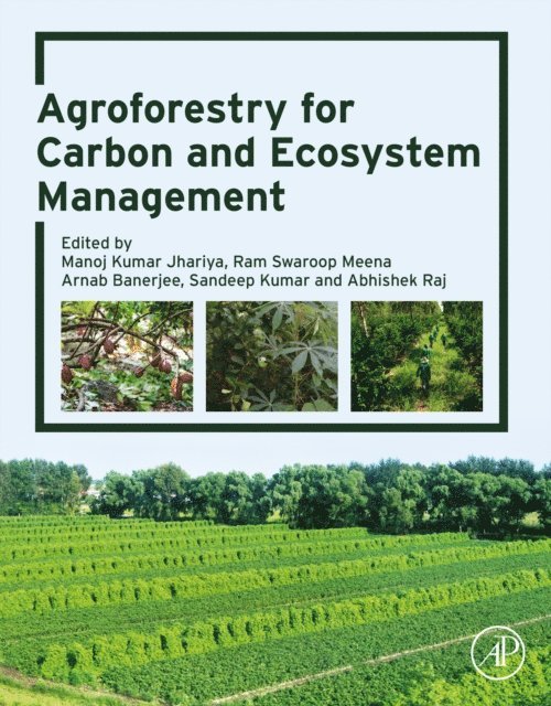 Abhishek Raj, Sandeep Kumar, Arnab Banerjee, Ram Swaroop Meena, Manoj Kumar Jhariya - Agroforestry for Carbon and Ecosystem Management, E-bok