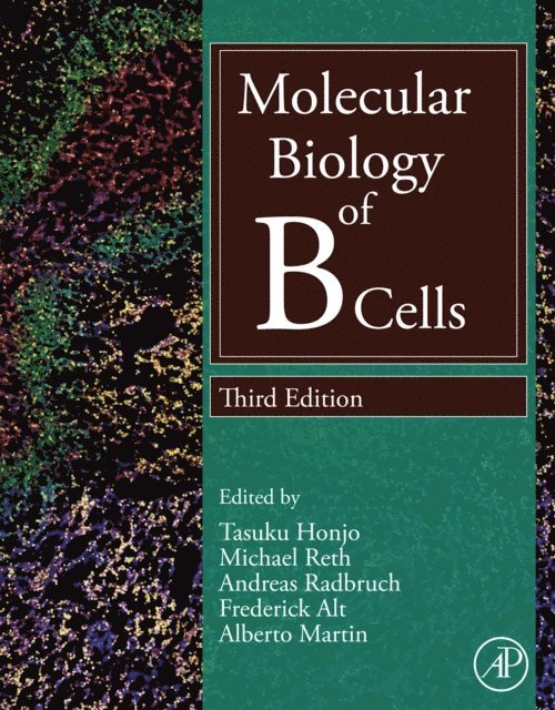 Alberto Martin, Frederick Alt, Andreas Radbruch, Michael Reth, Tasuku Honjo - Molecular Biology of B Cells, E-bok