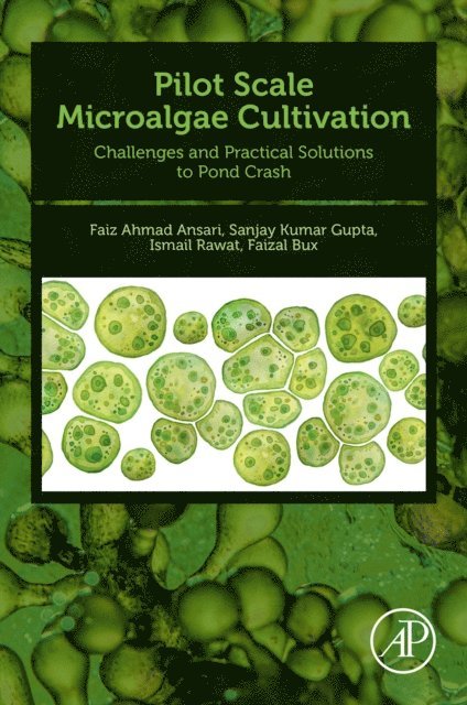Faizal Bux, Ismail Rawat, Sanjay Kumar Gupta, Faiz Ahmad Ansari - Pilot Scale Microalgae Cultivation, E-bok