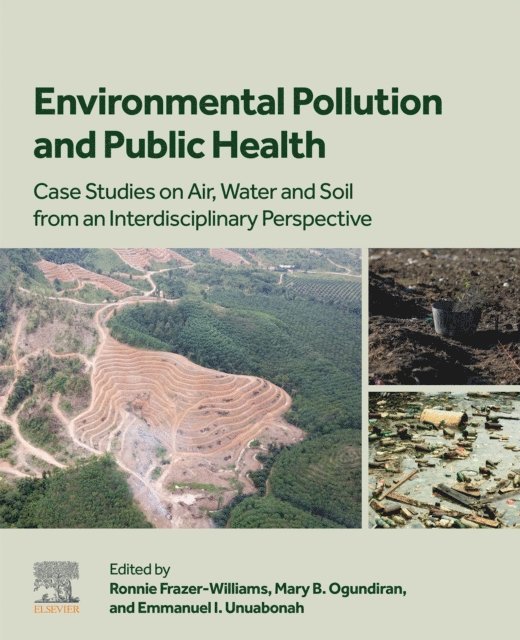 Emmanuel I Unuabonah, Mary B. Ogundiran, Ronnie Frazer-Williams - Environmental Pollution and Public Health, E-bok