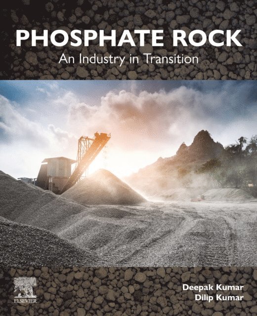 Deepak Kumar, Dilip Kumar - Phosphate Rock, E-bok