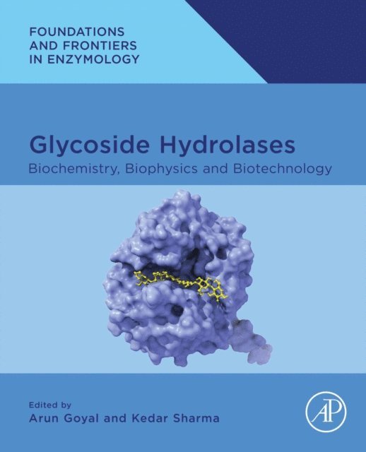 Kedar Sharma, Arun Goyal - Glycoside Hydrolases, E-bok
