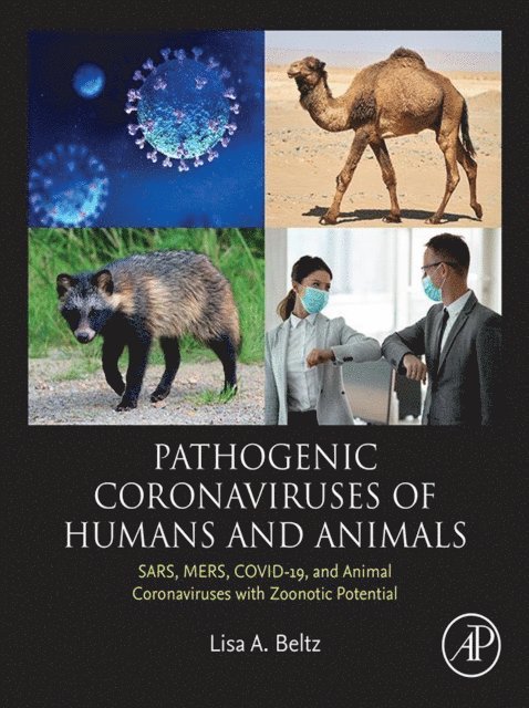 Lisa A. Beltz - Pathogenic Coronaviruses of Humans and Animals, E-bok