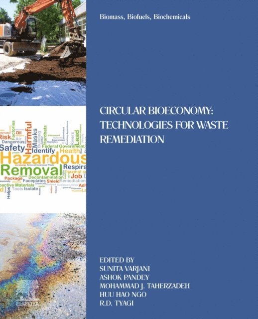 R.D. Tyagi, Huu Hao Ngo, Mohammad Taherzadeh, Ashok Pandey, Sunita Varjani - Biomass, Biofuels, Biochemicals, E-bok