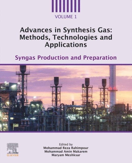 Maryam Meshksar, Mohammad Amin Makarem, Mohammad Reza Rahimpour - Advances in Synthesis Gas: Methods, Technologies and Applications, E-bok