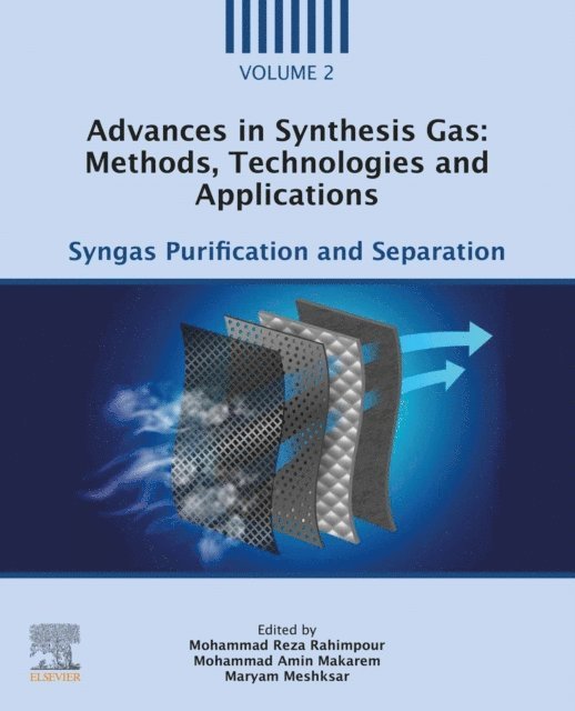 Maryam Meshksar, Mohammad Amin Makarem, Mohammad Reza Rahimpour - Advances in Synthesis Gas: Methods, Technologies and Applications, E-bok