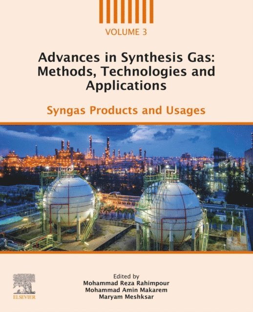 Maryam Meshksar, Mohammad Amin Makarem, Mohammad Reza Rahimpour - Advances in Synthesis Gas: Methods, Technologies and Applications, E-bok