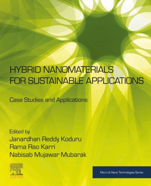 Nabisab Mujawar Mubarak, Rama Rao Karri, Janardhan Reddy Koduru - Hybrid Nanomaterials for Sustainable Applications, E-bok