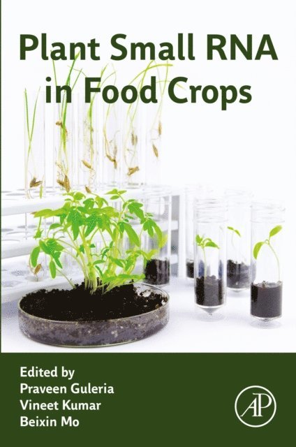 Beixin Mo, Vineet Kumar, Praveen Guleria - Plant Small RNA in Food Crops, E-bok