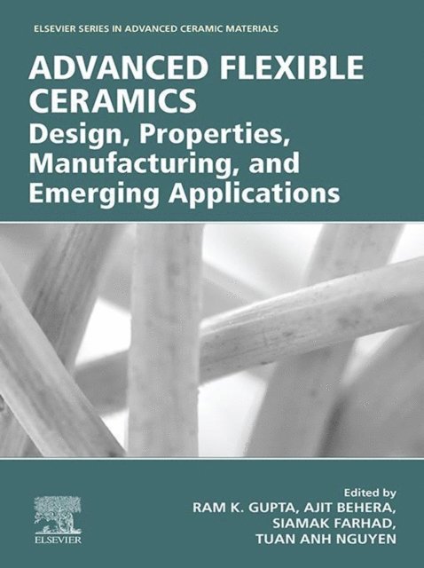 Tuan Anh Nguyen, Siamak Farhad, Ajit Behera, Ram K. Gupta - Advanced Flexible Ceramics, E-bok
