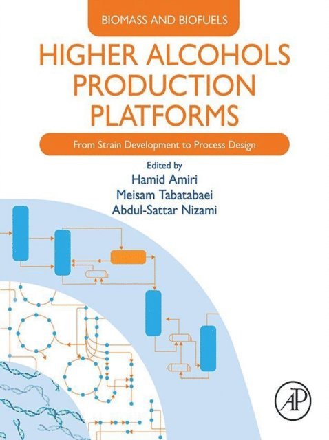 Abdul-Sattar Nizami, Meisam Tabatabaei, Hamid Amiri - Higher Alcohols Production Platforms, E-bok