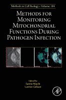 Methods for Monitoring Mitochondrial Functions During Pathogen Infection