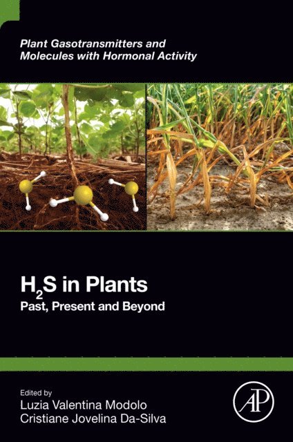 Cristiane Jovelina da-Silva, Luzia Valentina Modolo - H2S in Plants, E-bok
