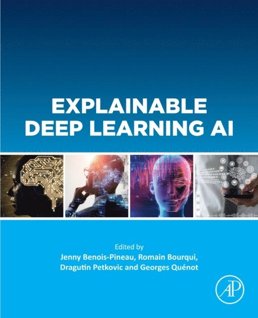 Georges Quenot, Dragutin Petkovic, Romain Bourqui, Jenny Benois-Pineau - Explainable Deep Learning AI, E-bok