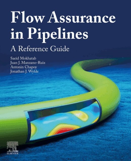 Jonathan J. Wylde, Antonin Chapoy, Juan Manzano-Ruiz, Saeid Mokhatab - Flow Assurance in Pipelines, E-bok