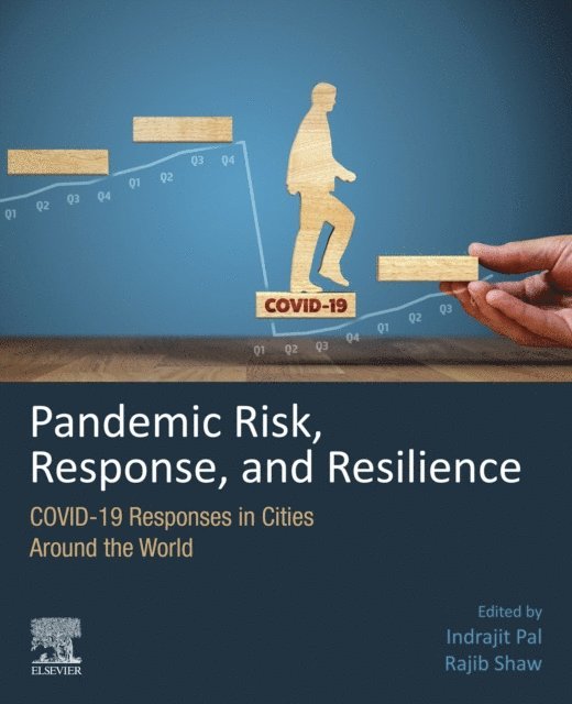 Rajib Shaw, Indrajit Pal - Pandemic Risk, Response, and Resilience, E-bok