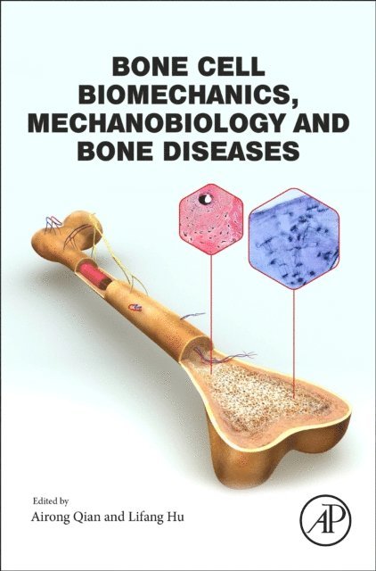 Lifang Hu, Ai-Rong Qian - Bone Cell Biomechanics, Mechanobiology and Bone Diseases, E-bok