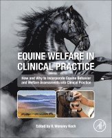 Equine Welfare in Clinical Practice