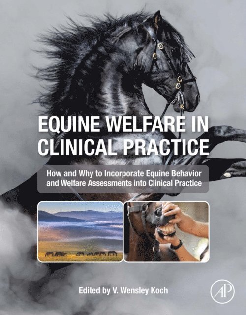 Virginia Wensley Koch - Equine Welfare in Clinical Practice, E-bok. Tillgänglighet: Lägg i varukorg