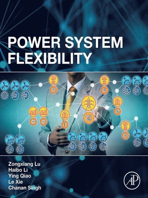 Chanan Singh, Xie Le, Ying Qiao, Haibo Li, Zongxiang Lu - Power System Flexibility, E-bok