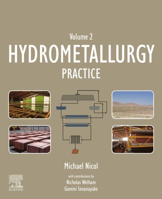 Michael Nicol - Hydrometallurgy, E-bok