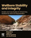 Wellbore Stability and Integrity