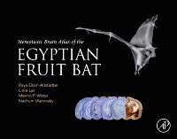 Raya Eilam-Altstadter, Liora Las, Menno Witter, Nachum Ulanovsky - Stereotaxic Brain Atlas of the Egyptian Fruit Bat, Inbunden